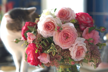 bouquet of pink and red roses