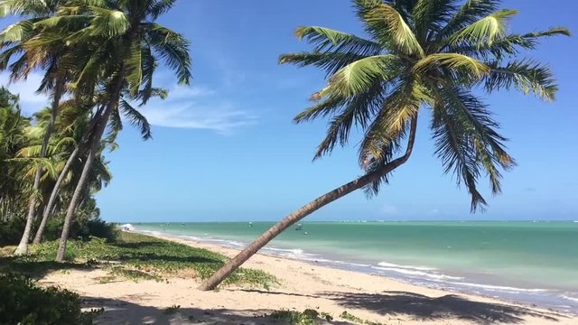 Beautiful beach scenery in S&atilde;o Miguel dos Milagres, Alagoas state, Brazil