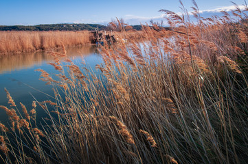 small fishing pontoon and a boat with rushes in the foreground on the canal de la robine in the ponds near Narbonne at sunset