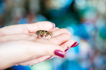 a small crab on a wet woman's hand