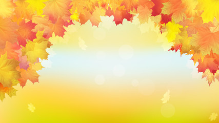 Falling golden autumn maple leaves. Vector