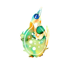 Dragon fruit. Yellow and green watercolor shades background