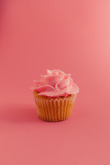 cupcake with pink frosting