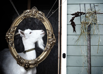 A white goat in the golden moulding frame with a pitchfork standing nearby