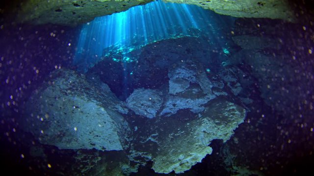 dive into the cenotes, Yucatan, Mexique.