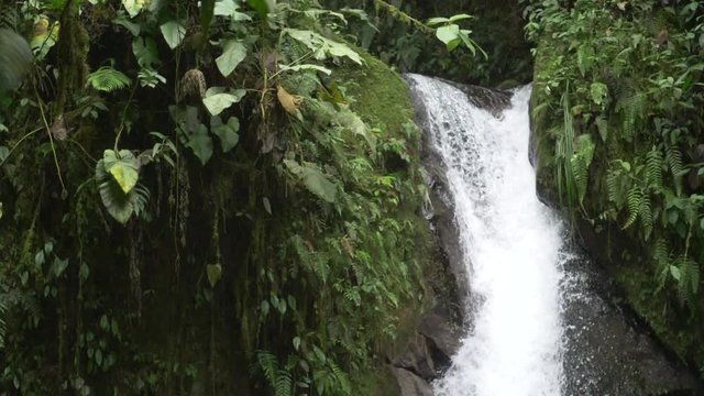 Beautiful waterfall in rainforest - Slow motion