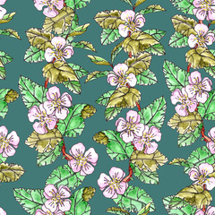 Seamless pattern of blooming apple branches with leaves on a dark turquoise background.