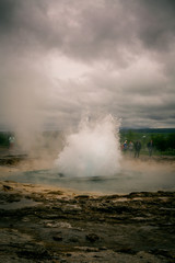 Iceland Nature Landscape Flowers Birds Animals Waterfall Tourism Tourist Geyser Natural Wonders Church Misty Foggy Black Sand Beach Caves