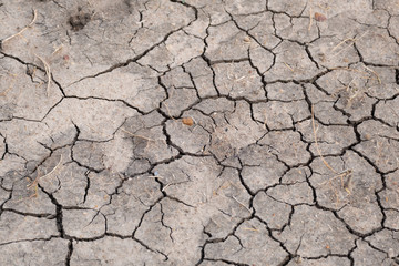 dry cracked earth