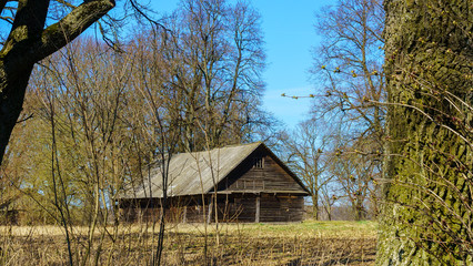 Horizontal image of an old rustic abandoned house and trees on nature background. Countryside concept. Space for text.
