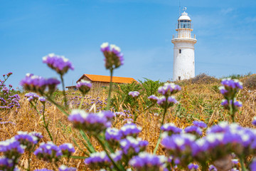 Cyprus. White lighthouse on a background of lilac flowers. Pafos archaeological Park. A lighthouse...