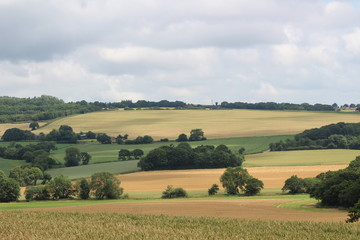 Fototapeta premium krajobraz wiejski Anglia wschodnie wybrzeże