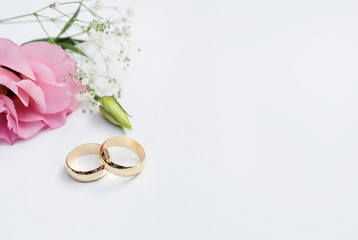 Pink flowers and two golden wedding rings on white background.