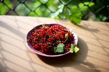 red currant in a bowl