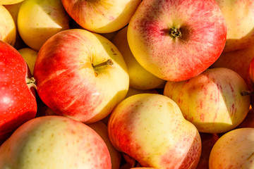 Background of the big pile of ripe apples