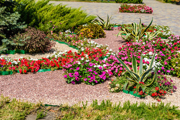 Different flowers on flowerbed in a city park