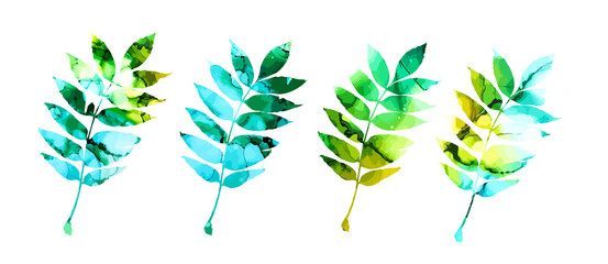 A set of picturesque ash leaves. Mixed media. Vector illustration - obrazy, fototapety, plakaty
