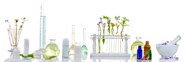 herbal medine Background : Panoramic image of a laboratory Fresh medicinal plant and Flowers ready...