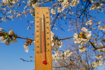 wooden thermometer outside temperature in the background snowdrops. Beautiful heat spring day.
