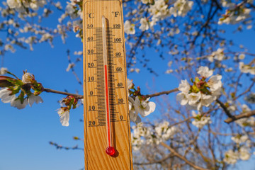 wooden thermometer outside temperature in the background snowdrops. Beautiful heat spring day.
