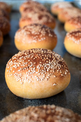 Freshly baked homemade bread on metal tray