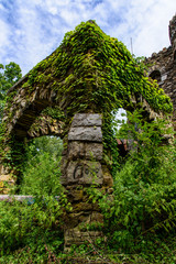 Overgrown Castle in the Woods