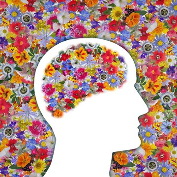 colorful garden flowers, around and inside human's brain profile