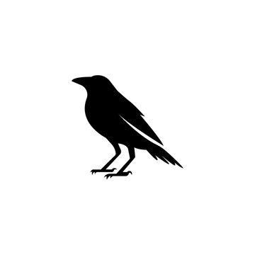 Crow sillhouette logo icon vector illustration.