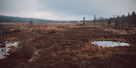 Naturschutzgebiet Moor