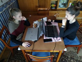 Two adult sisters at the same table working together from home. Work in isolation. Home is the best place in the wotld