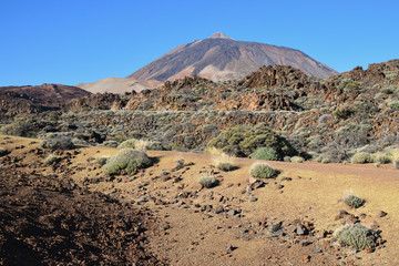 Zastygła lawa u stóp wulkanu Teide na Teneryfie.  - obrazy, fototapety, plakaty