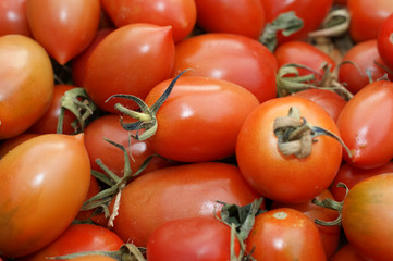 red tomatoes at the market