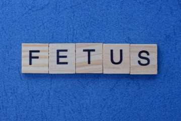 short word fetus in small square wooden letters with black font on a blue background
