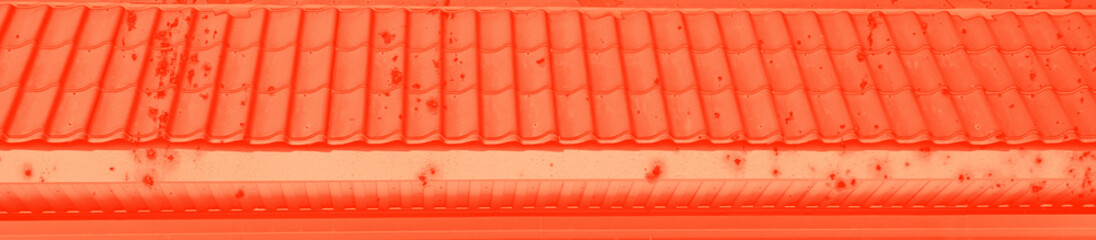 abstract live coral color background for design