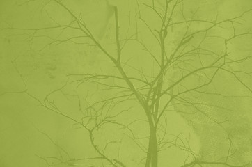 abstract olive and khaki colors background for design