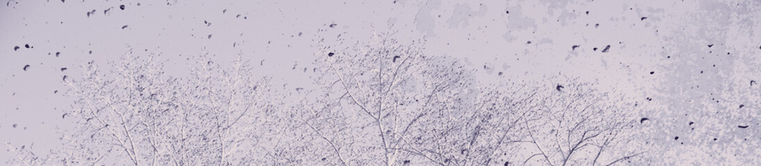 abstract pale violet color background for design