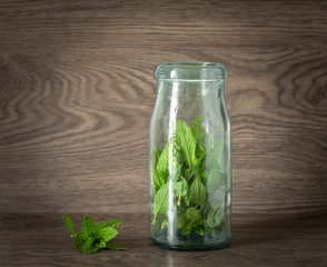 bocal verre plante boisson vert