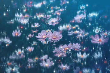 Dramatic flower background; Nature Background