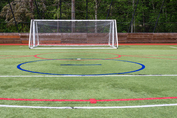 Local sports field with markings and field goal, synthetic grass
