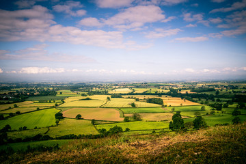 English Countryside Landscape Farming Nature Livestock Sunny Day Summer England Farm