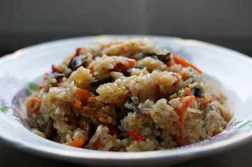 beef stew with rice