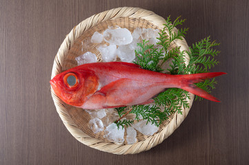 Kinmedai, japanese fresh whole red snapper