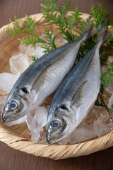 Aji, japanese whole raw horse mackerel