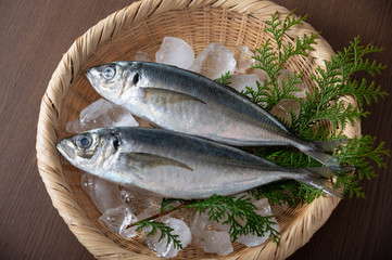 Aji, japanese whole raw horse mackerel