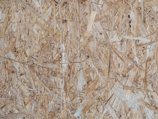 Fragment of a plate from the pressed waste of wood