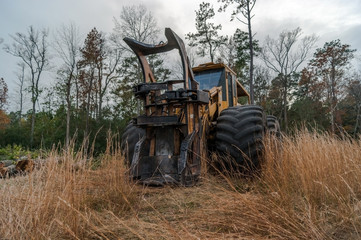 Forestry feller buncher
