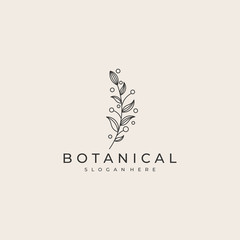 Botanical flowers logo line vector