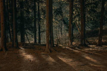 Fototapeta premium The struggle of light and darkness.