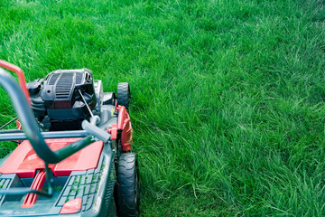 Fototapeta premium Lawn mower cutting green grass in backyard, mowing lawn copy space