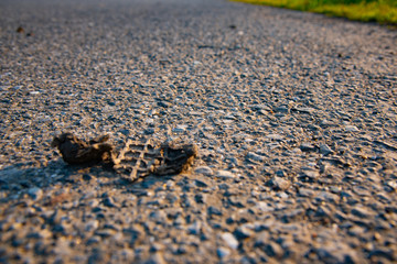 タイヤの跡